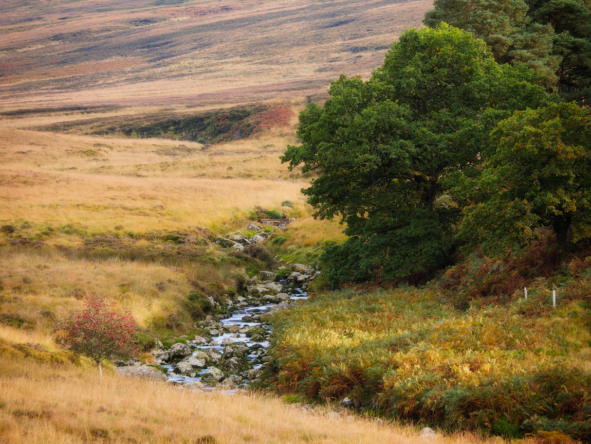 Wicklow Mountains river with natural background