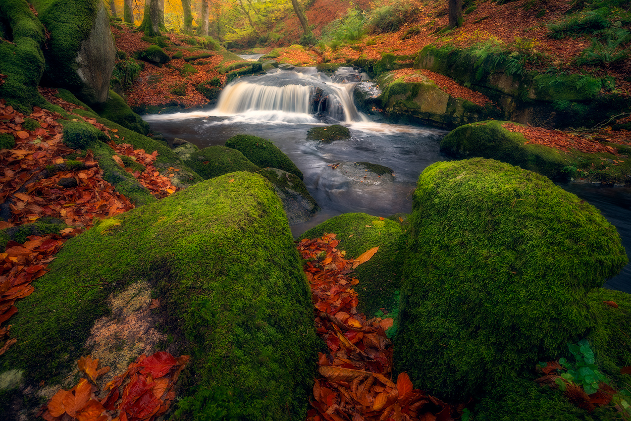 Beautiful autumn with moss covered stones in the Wicklow Mountains